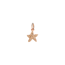  Rose Gold & Brown Diamond Star Charm