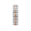 Alpine Eagle 36