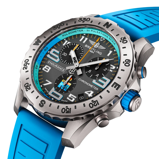 Professional Endurance Pro IRONMAN® World Championship 2025