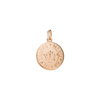 Rose Gold Coin Charm