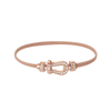 Force 10 bracelet