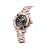 Aquaracer Professional 200 Solargraph