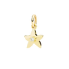 Yellow Gold & White Diamond Star Charm