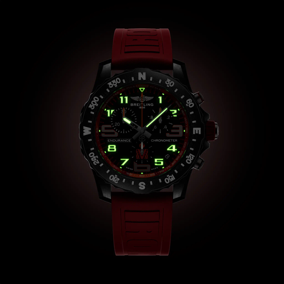 Professional Endurance Pro 44 IRONMAN® 70.3 World Championship 2024