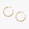 Move Link hoop earrings, small model