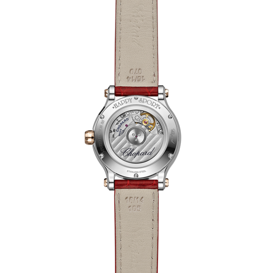 Happy Sport Year of the Rabbit