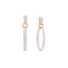 Iconica Earrings