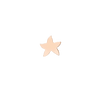 Rose Gold Star Stud Earring