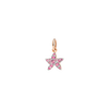 Rose Gold & Spinel Star Charm