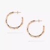 Move Link hoop earrings, small model