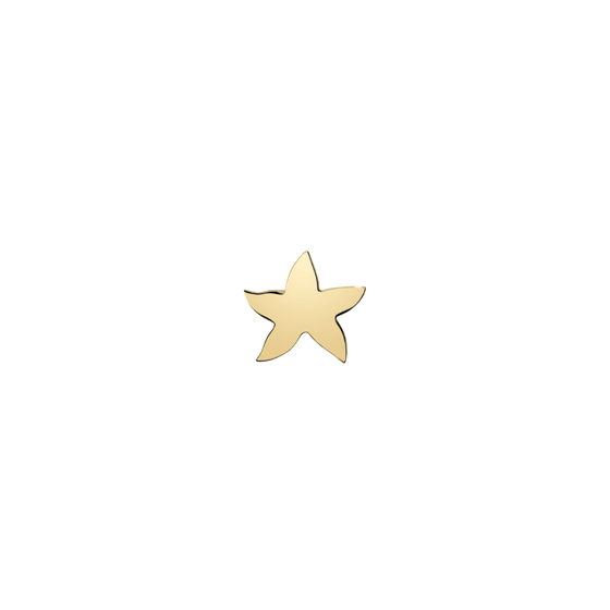 Star Earring