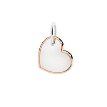  Pendentif Xl Coeur Argent Et Or Rose