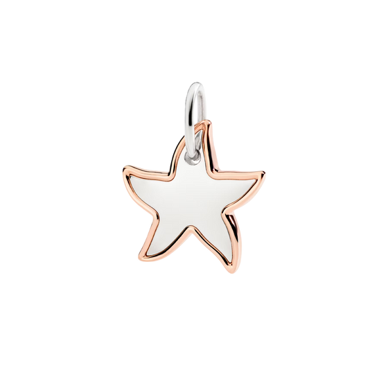 Pendentif Xl Stellina Argent Et Or Rose