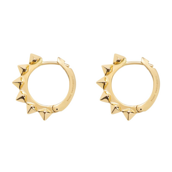 Friday Night Earrings