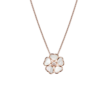  Happy Hearts Flowers