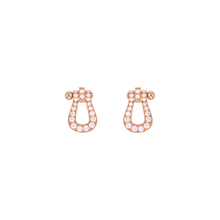  Force 10 earrings