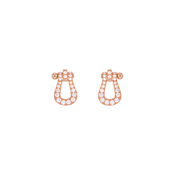Force 10 earrings