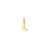 Yellow Gold Moon Charm