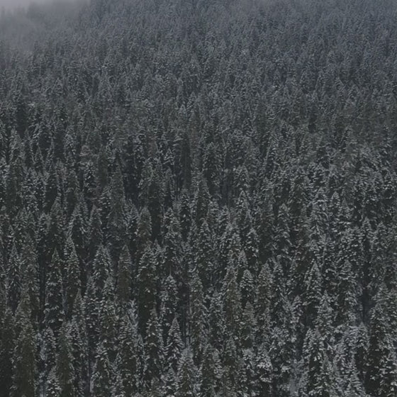 Masterbox Dark Green Aluminium