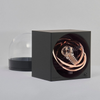 Moon Modulor Watch Winder