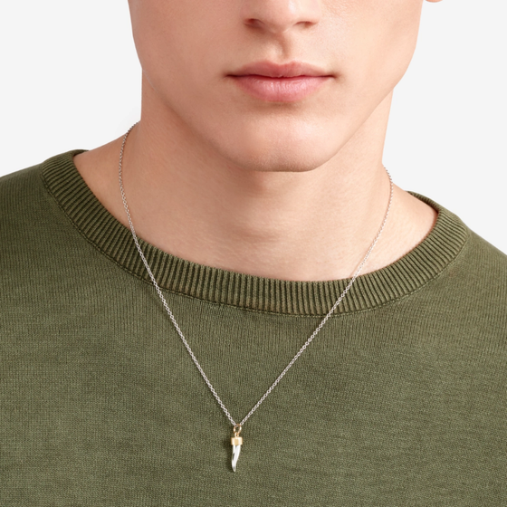 Pendentif Corne Or Jaune Et Argent