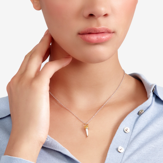 Pendentif Corne Or Jaune Et Argent